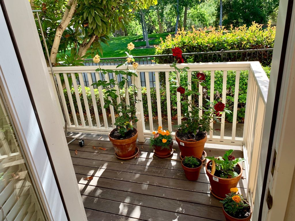 Single Bedroom with attached bath for rent in Dublin Connecting people in San Ramon, Dublin