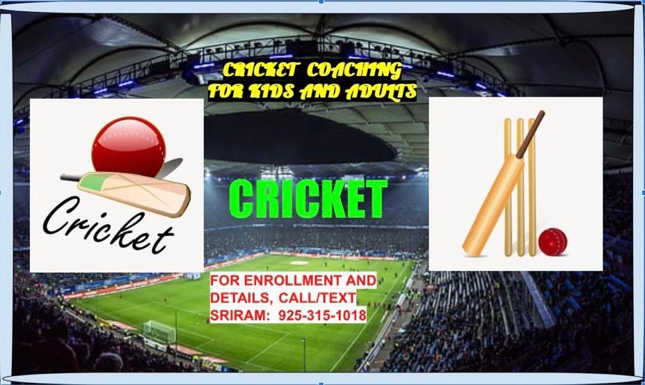 13ft Wide Club Spec Cricket Matting